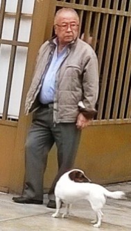 Perro callejero jugando con el abuelito
